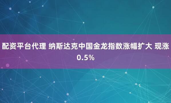 配资平台代理 纳斯达克中国金龙指数涨幅扩大 现涨0.5%