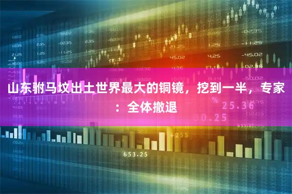 山东驸马坟出土世界最大的铜镜，挖到一半，专家：全体撤退